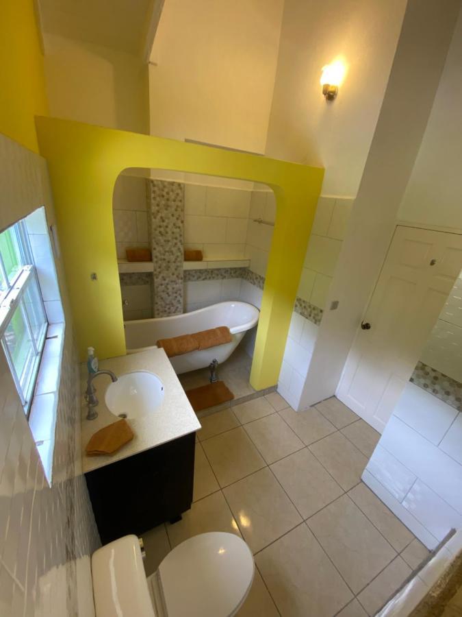 Laborie Greenhouse On The Hill, Sea View Studio Apartment מראה חיצוני תמונה