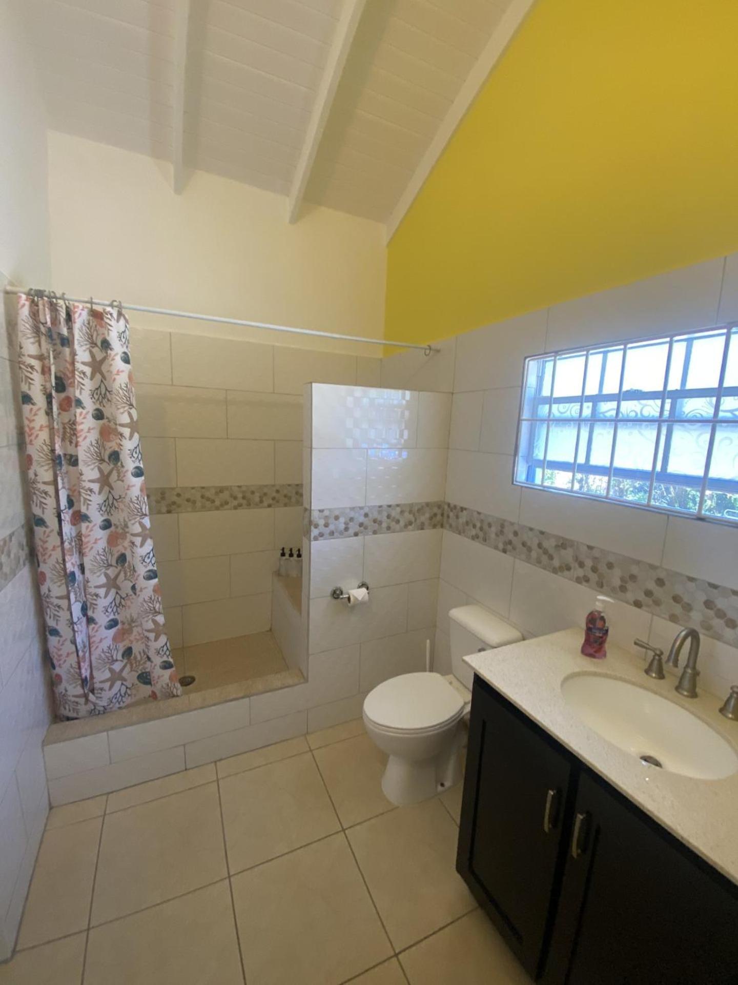 Laborie Greenhouse On The Hill, Sea View Studio Apartment מראה חיצוני תמונה